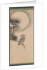Owl on a Pine Branch, early 17th century by Soga Nichokuan