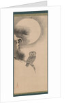 Owl on a Pine Branch, early 17th century by Soga Nichokuan