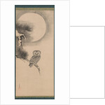 Owl on a Pine Branch, early 17th century by Soga Nichokuan