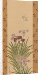 Irises and Moth, ca. 1850 by Suzuki Kiitsu