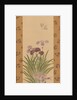 Irises and Moth, ca. 1850 by Suzuki Kiitsu