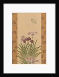 Irises and Moth, ca. 1850 by Suzuki Kiitsu