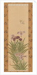 Irises and Moth, ca. 1850 by Suzuki Kiitsu