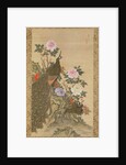 Peacocks and Peonies, 1820 by Tani Buncho