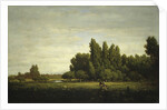 A Meadow Bordered by Trees, ca. 1845 by Theodore Rousseau