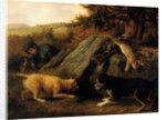 The Rabbit Hunters, 1850 by Thomas Hewes Hinckley