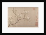 Pear Blossoms, ca. 1280 by Unknown