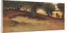 Sand Bank with Willows, Magnolia, 1877 by William Morris Hunt