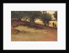 Sand Bank with Willows, Magnolia, 1877 by William Morris Hunt