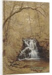 Indian Falls, Indian Brook, Cold Springs, New York, 1850 by William Rickarby Miller