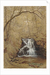 Indian Falls, Indian Brook, Cold Springs, New York, 1850 by William Rickarby Miller