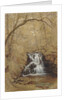 Indian Falls, Indian Brook, Cold Springs, New York, 1850 by William Rickarby Miller