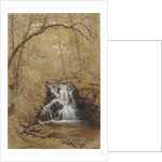 Indian Falls, Indian Brook, Cold Springs, New York, 1850 by William Rickarby Miller