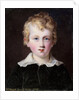 Brock Livingston Delaplaine, 1817 by William Russell Birch