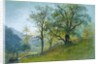 Vahrn in Tyrol near Brixen by William Stanley Haseltine