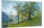 Vahrn in Tyrol near Brixen by William Stanley Haseltine