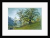 Vahrn in Tyrol near Brixen by William Stanley Haseltine