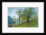 Vahrn in Tyrol near Brixen by William Stanley Haseltine