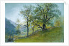 Vahrn in Tyrol near Brixen by William Stanley Haseltine