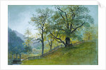 Vahrn in Tyrol near Brixen by William Stanley Haseltine