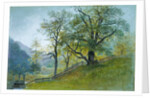Vahrn in Tyrol near Brixen by William Stanley Haseltine