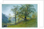 Vahrn in Tyrol near Brixen by William Stanley Haseltine