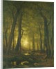Evening in the Woods, 1876 by Worthington Whittredge