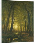 Evening in the Woods, 1876 by Worthington Whittredge