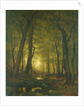 Evening in the Woods, 1876 by Worthington Whittredge