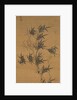 Bamboo in the Wind, early 17th century by Yi Jeong