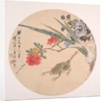 Flower and Toad by Zhang Xiong