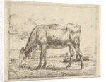 Grazing Calf, from Different Animals, 1658 by Adriaen van de Velde