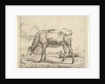Grazing Calf, from Different Animals, 1658 by Adriaen van de Velde