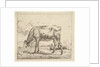 Grazing Calf, from Different Animals, 1658 by Adriaen van de Velde