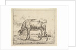 Grazing Calf, from Different Animals, 1658 by Adriaen van de Velde