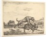 Fighting Dogs, from Different Animals, 1657 by Adriaen van de Velde