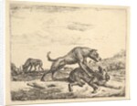 Fighting Dogs, from Different Animals, 1657 by Adriaen van de Velde
