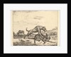 Fighting Dogs, from Different Animals, 1657 by Adriaen van de Velde