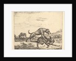 Fighting Dogs, from Different Animals, 1657 by Adriaen van de Velde