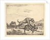 Fighting Dogs, from Different Animals, 1657 by Adriaen van de Velde