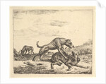 Fighting Dogs, from Different Animals, 1657 by Adriaen van de Velde
