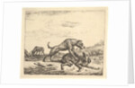 Fighting Dogs, from Different Animals, 1657 by Adriaen van de Velde