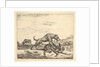 Fighting Dogs, from Different Animals, 1657 by Adriaen van de Velde