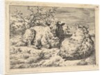 Two Recumbent Sheep, 1670 by Adriaen van de Velde