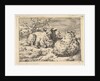 Two Recumbent Sheep, 1670 by Adriaen van de Velde