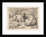 Two Recumbent Sheep, 1670 by Adriaen van de Velde
