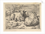 Two Recumbent Sheep, 1670 by Adriaen van de Velde