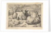Two Recumbent Sheep, 1670 by Adriaen van de Velde