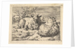 Two Recumbent Sheep, 1670 by Adriaen van de Velde