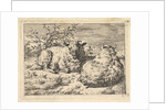 Two Recumbent Sheep, 1670 by Adriaen van de Velde